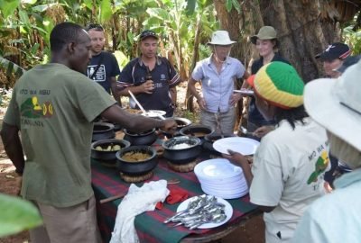 Located on the way to Ngorongoro and Serengeti, it is an ideal resting place for most safari travellers.